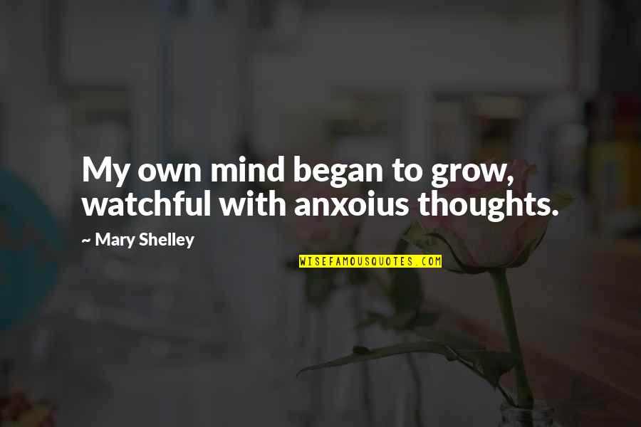 August Month Quotes By Mary Shelley: My own mind began to grow, watchful with
