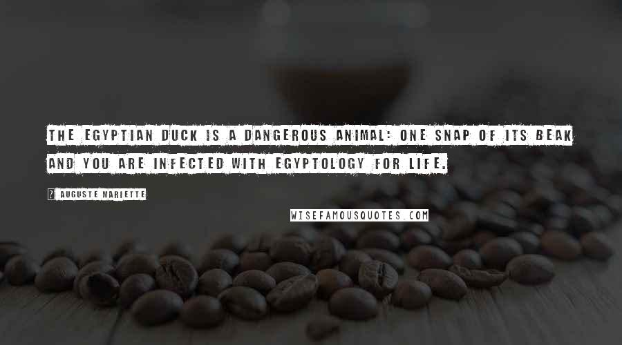 Auguste Mariette quotes: The Egyptian duck is a dangerous animal: one snap of its beak and you are infected with Egyptology for life.