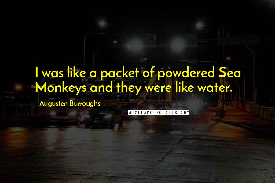 Augusten Burroughs quotes: I was like a packet of powdered Sea Monkeys and they were like water.