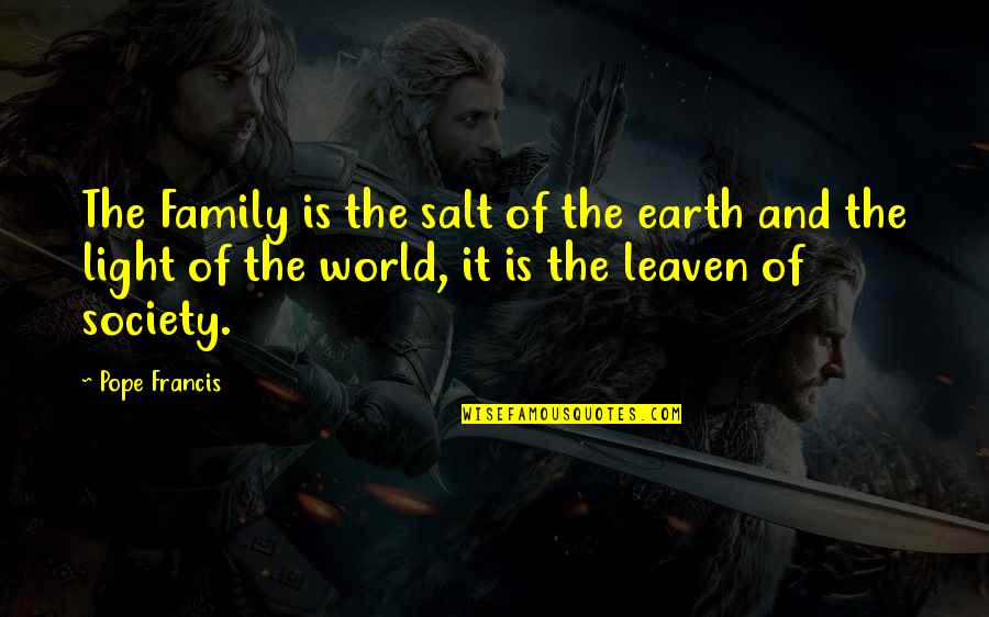 Augustijn Glass Quotes By Pope Francis: The Family is the salt of the earth