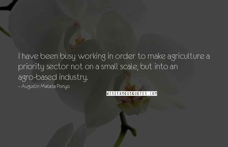 Augustin Matata Ponyo quotes: I have been busy working in order to make agriculture a priority sector not on a small scale, but into an agro-based industry. Augustin Matata Ponyo quotes: I have been busy working in order to make agriculture a priority sector not on a small scale, but into an agro-based industry.