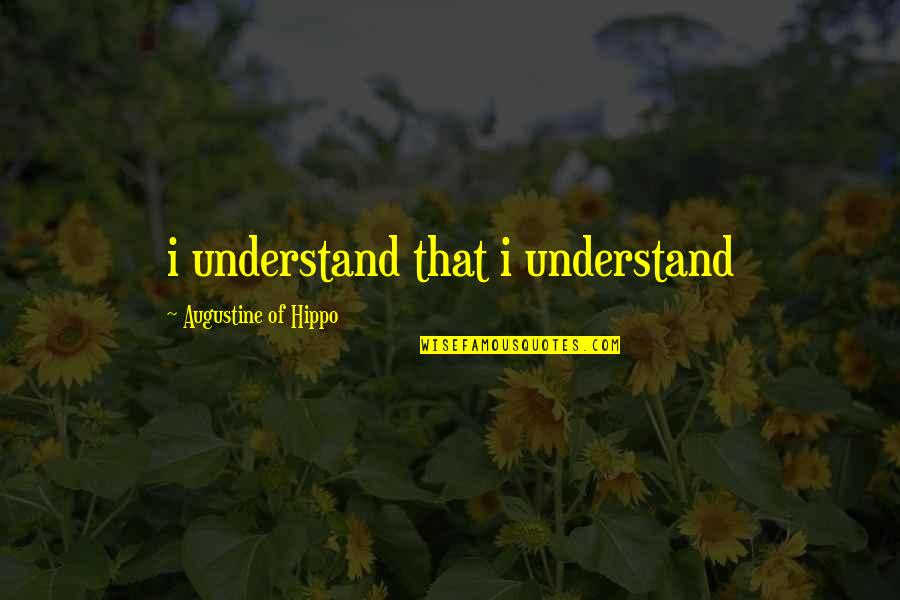 Augustine Hippo Quotes By Augustine Of Hippo: i understand that i understand