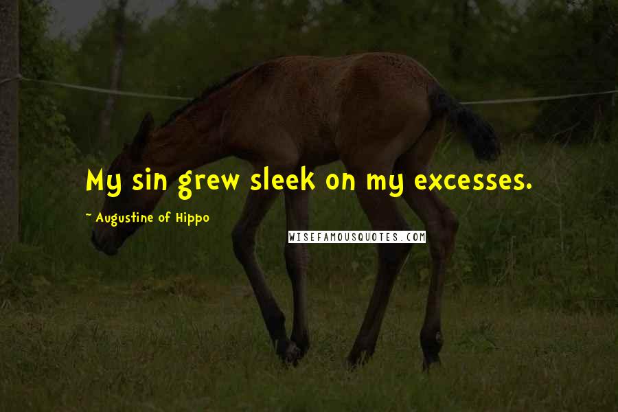 Augustine Of Hippo quotes: My sin grew sleek on my excesses.