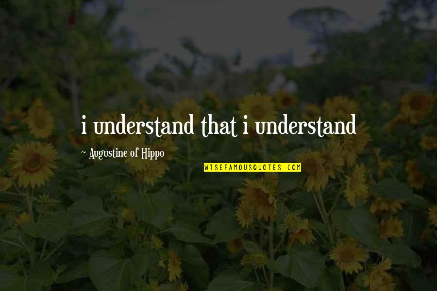 Augustine's Quotes By Augustine Of Hippo: i understand that i understand