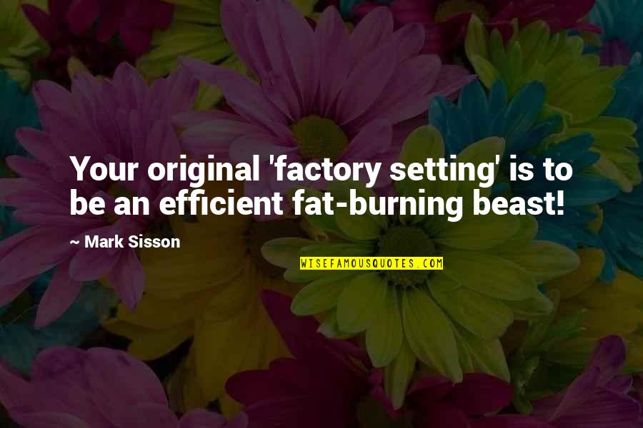 Augusto Cesar Sandino Quotes By Mark Sisson: Your original 'factory setting' is to be an