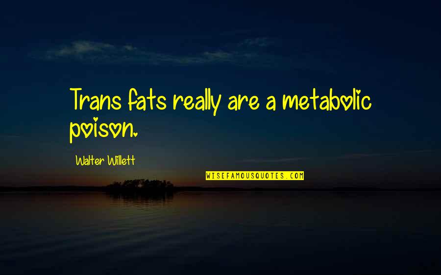 Auletes Greek Quotes By Walter Willett: Trans fats really are a metabolic poison.