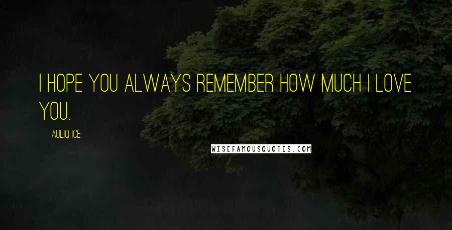 Auliq Ice quotes: I hope you always remember how much I love you.