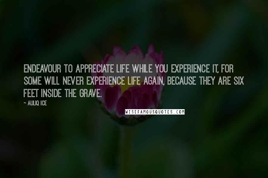 Auliq Ice quotes: Endeavour to appreciate life while you experience it, for some will never experience life again, because they are six feet inside the grave. Auliq Ice quotes: Endeavour to appreciate life while you experience it, for some will never experience life again, because they are six feet inside the grave.