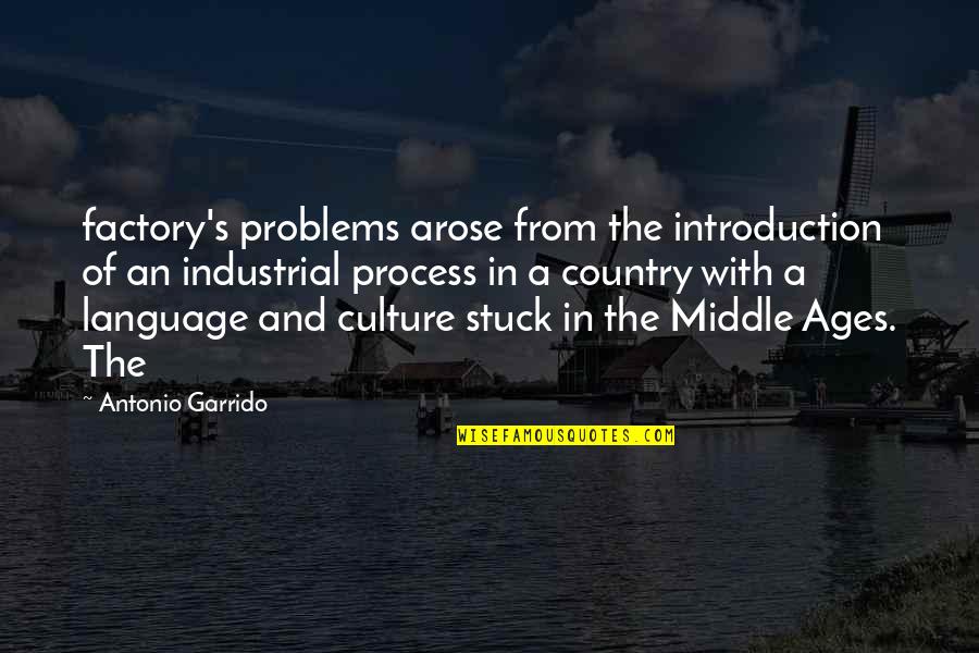 Aulus Metellus Quotes By Antonio Garrido: factory's problems arose from the introduction of an