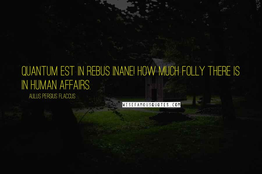 Aulus Persius Flaccus quotes: Quantum est in rebus inane! How much folly there is in human affairs.