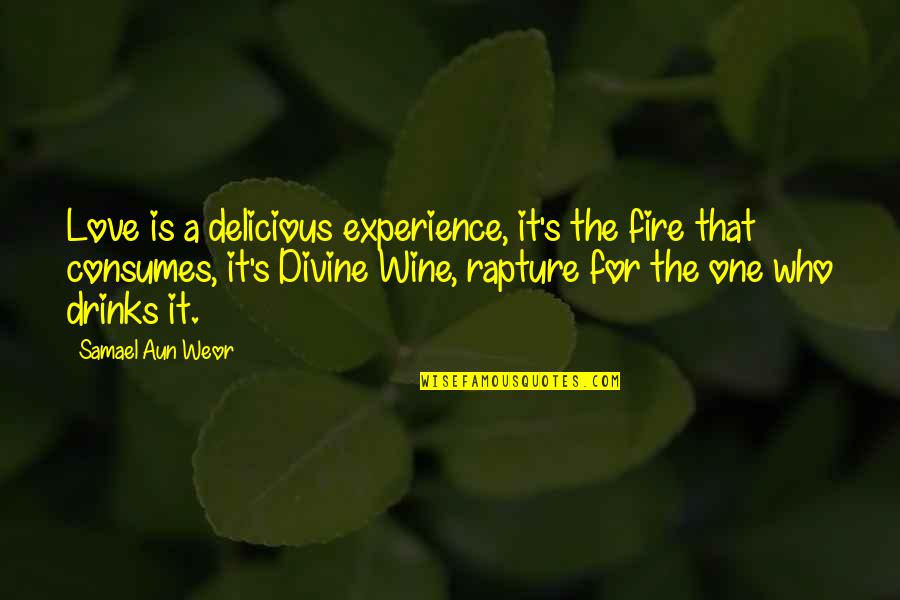 Aun Quotes By Samael Aun Weor: Love is a delicious experience, it's the fire Aun Quotes By Samael Aun Weor: Love is a delicious experience, it's the fire