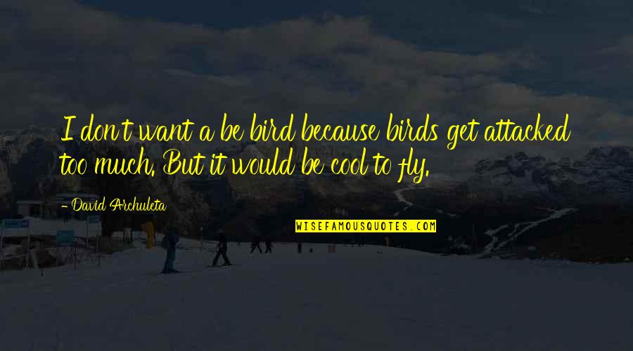 Aunt And Nephew Relationship Quotes By David Archuleta: I don't want a be bird because birds