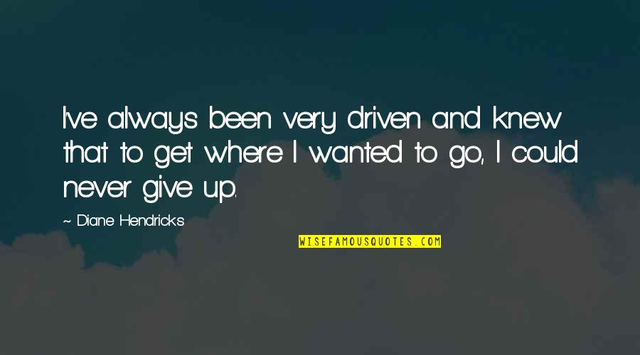 Aunt Helen In The Perks Of Being A Wallflower Quotes By Diane Hendricks: I've always been very driven and knew that