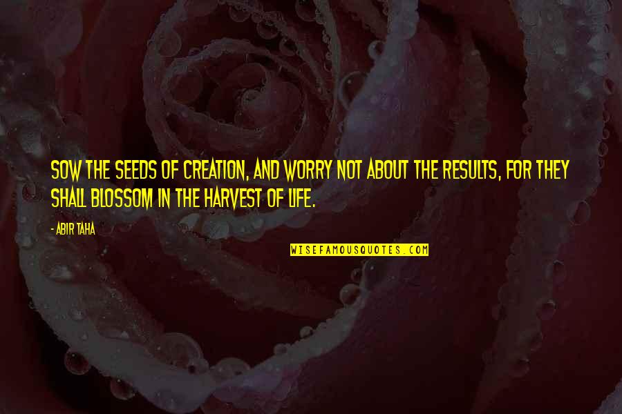 Auntee Bs Quotes By Abir Taha: Sow the seeds of creation, and worry not Auntee Bs Quotes By Abir Taha: Sow the seeds of creation, and worry not