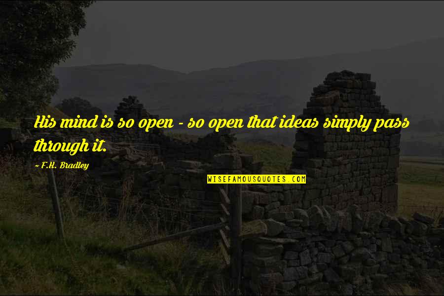 Aurea Mediocritas Quotes By F.H. Bradley: His mind is so open - so open