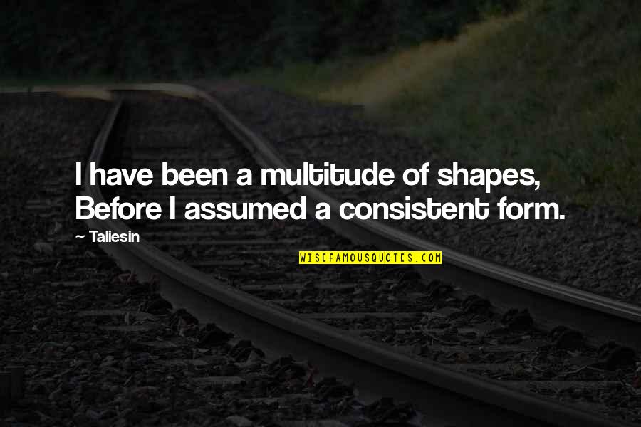 Aurelio Voltaire Quotes By Taliesin: I have been a multitude of shapes, Before