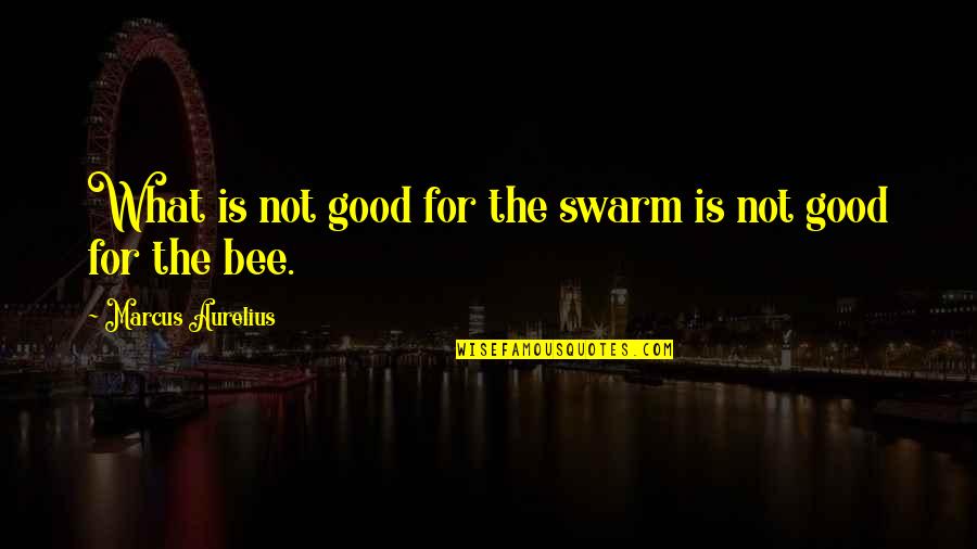 Aurelius Quotes By Marcus Aurelius: What is not good for the swarm is