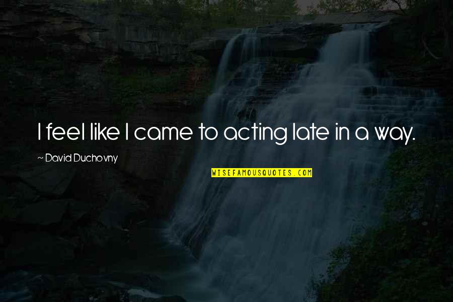 Aurice Turk Quotes By David Duchovny: I feel like I came to acting late Aurice Turk Quotes By David Duchovny: I feel like I came to acting late