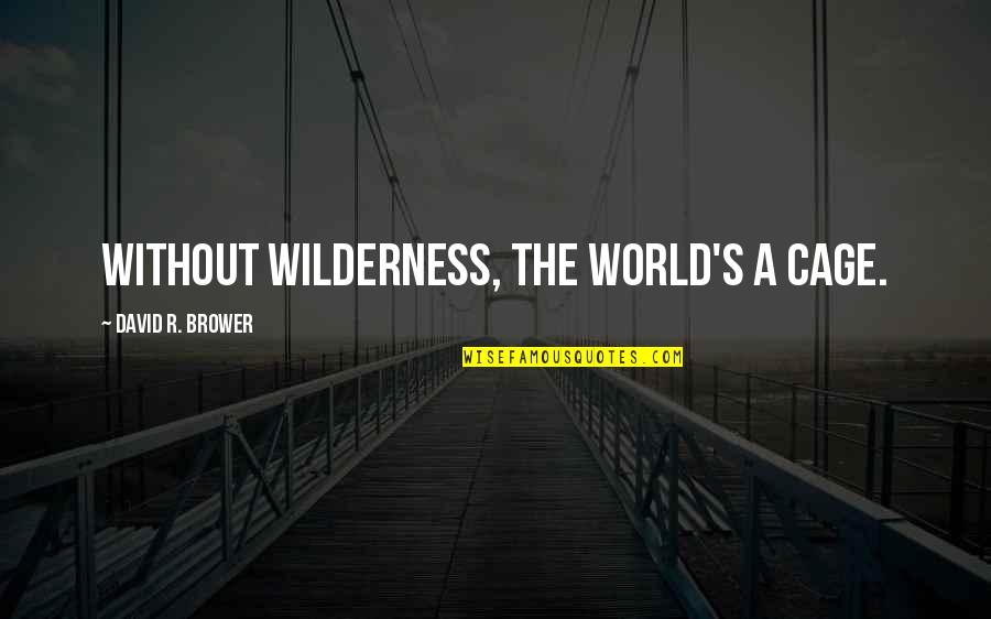Auriez Vous Laim Quotes By David R. Brower: Without wilderness, the world's a cage. Auriez Vous Laim Quotes By David R. Brower: Without wilderness, the world's a cage.