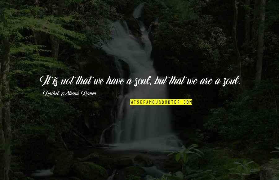 Aurinova Quotes By Rachel Naomi Remen: It is not that we have a soul,