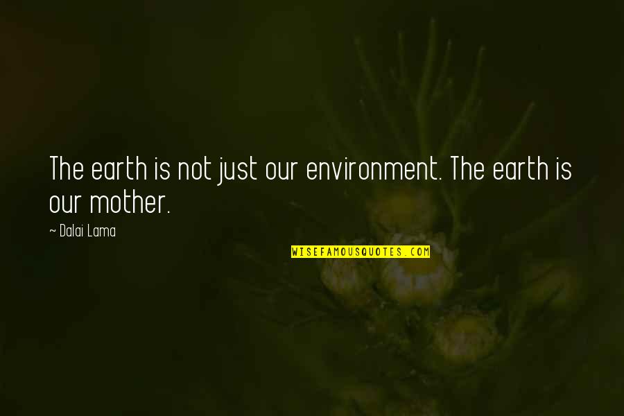 Aurita Castillo Quotes By Dalai Lama: The earth is not just our environment. The