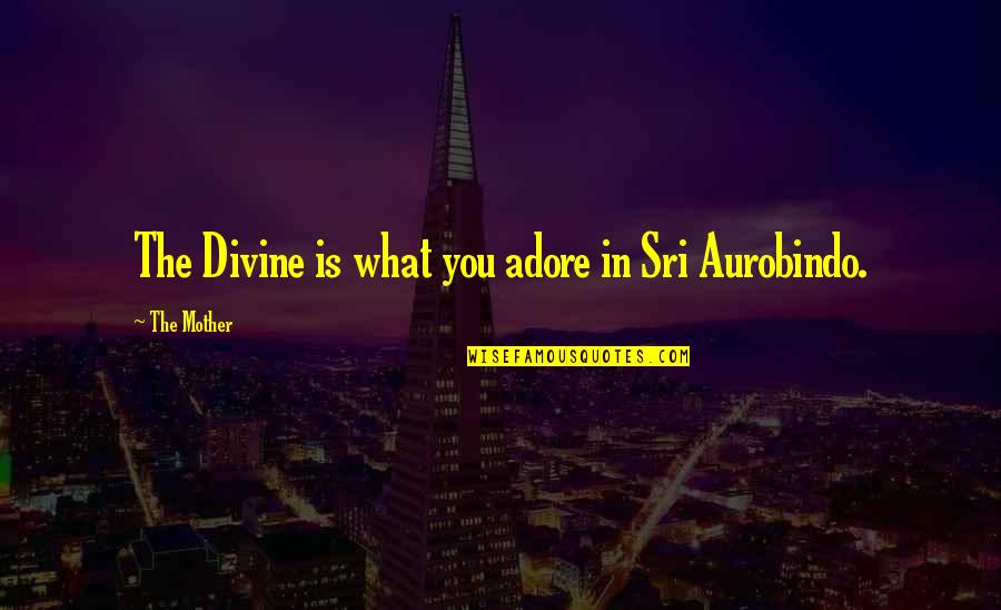 Aurobindo Mother Quotes By The Mother: The Divine is what you adore in Sri