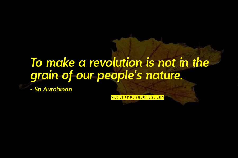 Aurobindo Quotes By Sri Aurobindo: To make a revolution is not in the