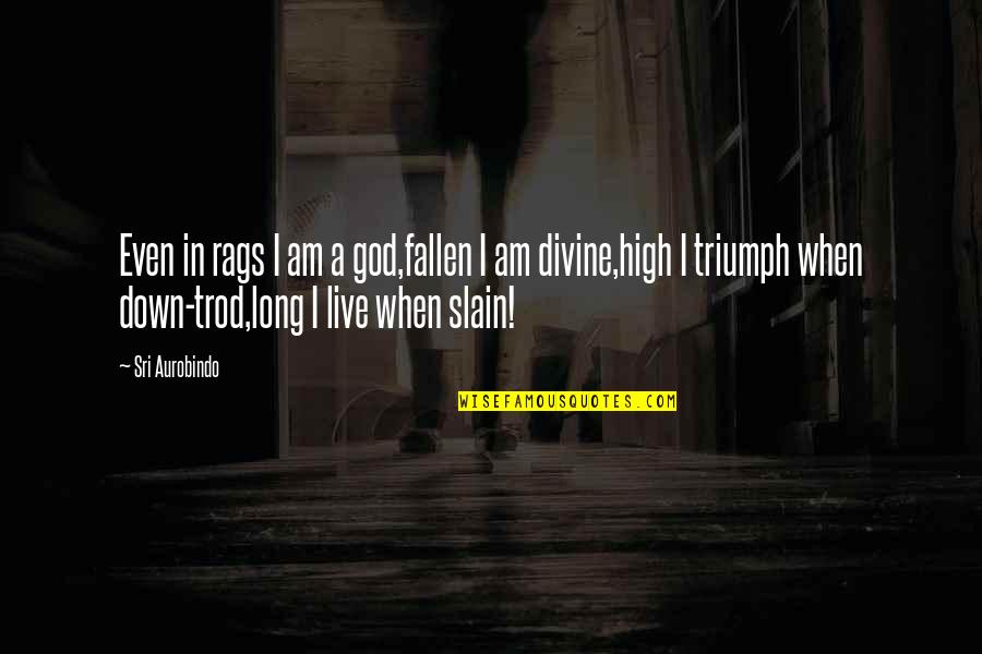 Aurobindo Quotes By Sri Aurobindo: Even in rags I am a god,fallen I