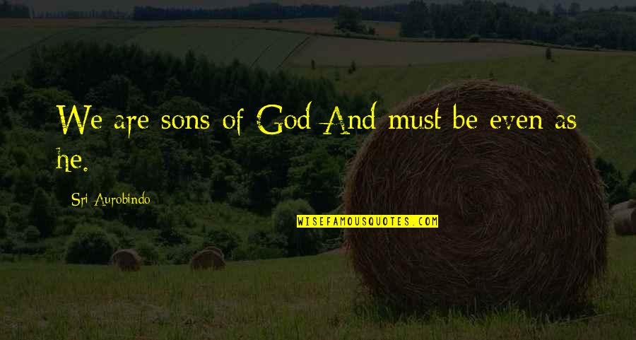 Aurobindo Quotes By Sri Aurobindo: We are sons of God And must be