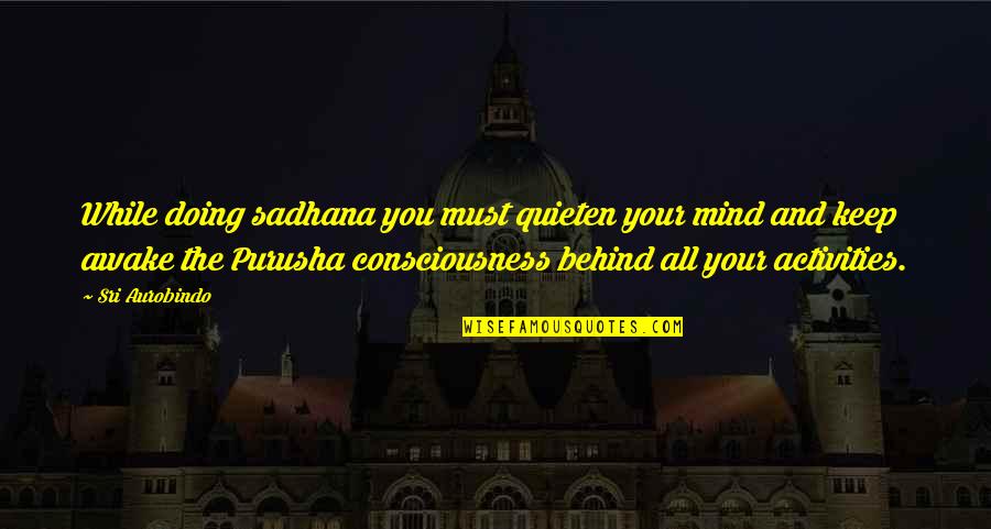 Aurobindo Quotes By Sri Aurobindo: While doing sadhana you must quieten your mind