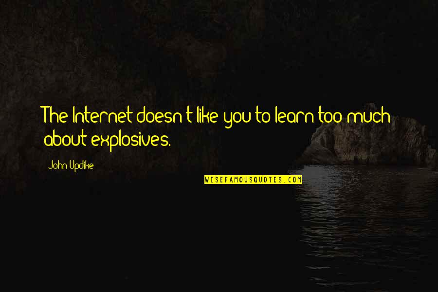 Auroxium Quotes By John Updike: The Internet doesn't like you to learn too