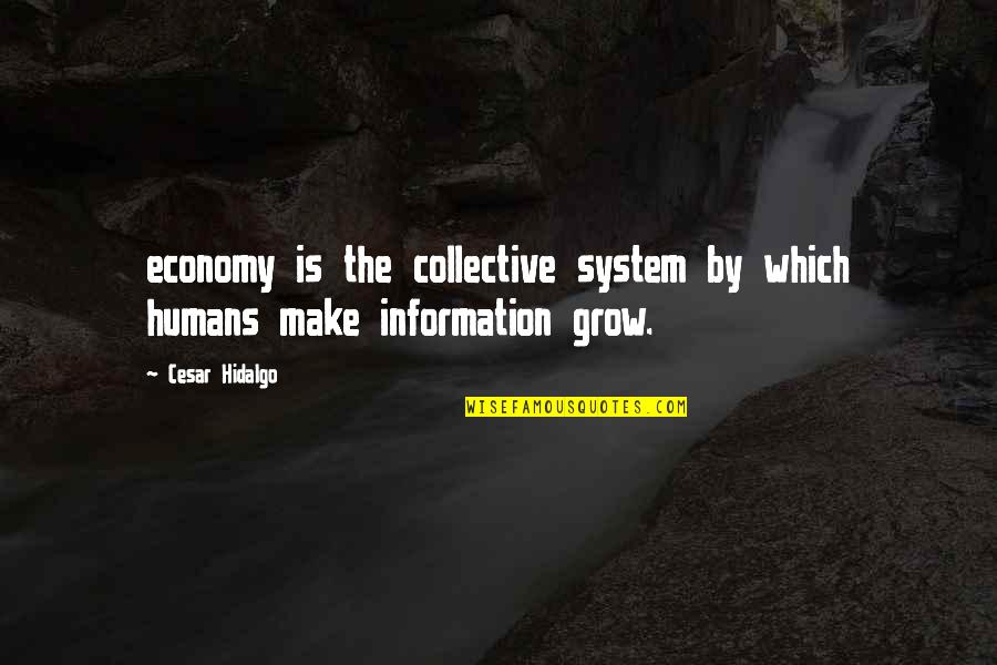 Ausburne Quotes By Cesar Hidalgo: economy is the collective system by which humans