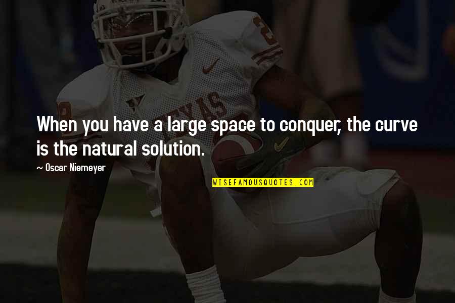 Ausfallen Quotes By Oscar Niemeyer: When you have a large space to conquer,