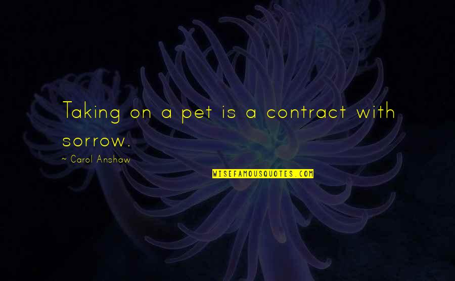 Ausgehen Annenmaykantereit Quotes By Carol Anshaw: Taking on a pet is a contract with