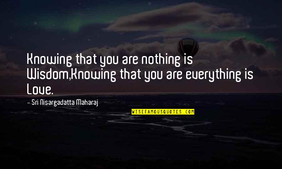 Austauschschueler Quotes By Sri Nisargadatta Maharaj: Knowing that you are nothing is Wisdom,Knowing that