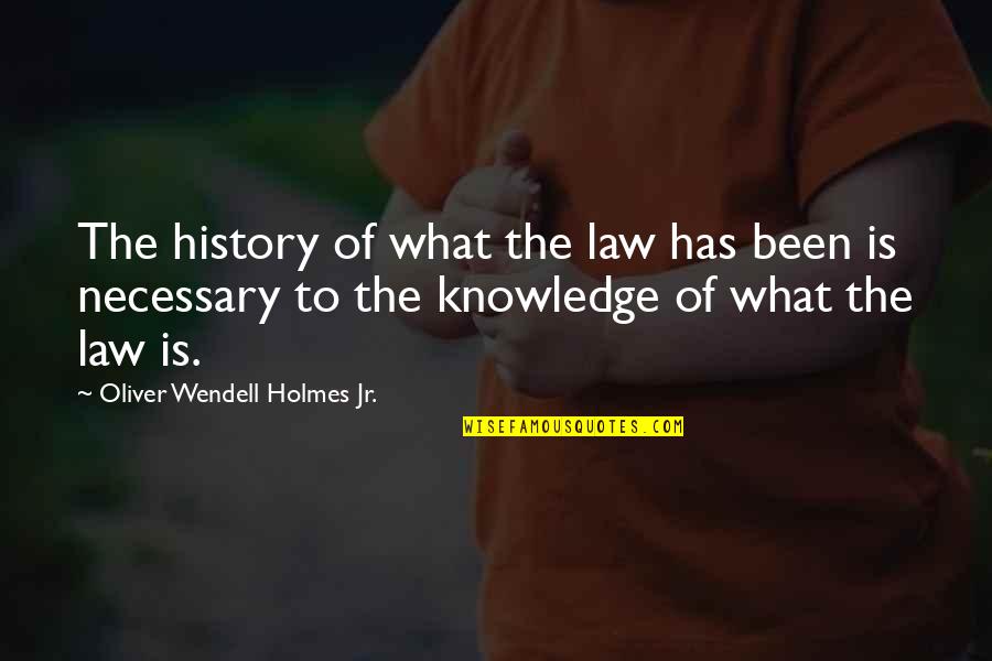 Auster Brooklyn Follies Quotes By Oliver Wendell Holmes Jr.: The history of what the law has been