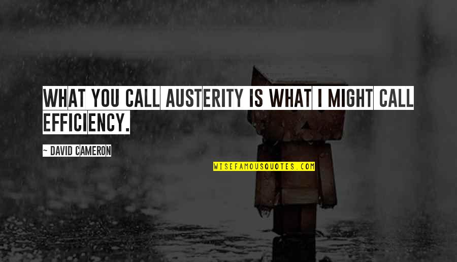 Austerity Quotes By David Cameron: What you call austerity is what I might