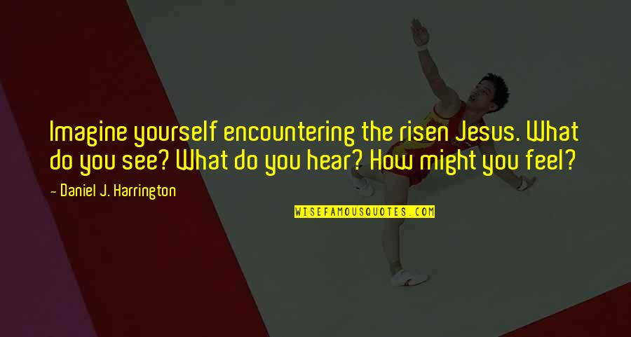 Australian Infantry Quotes By Daniel J. Harrington: Imagine yourself encountering the risen Jesus. What do Australian Infantry Quotes By Daniel J. Harrington: Imagine yourself encountering the risen Jesus. What do