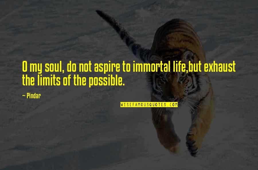 Australian Trucker Quotes By Pindar: O my soul, do not aspire to immortal