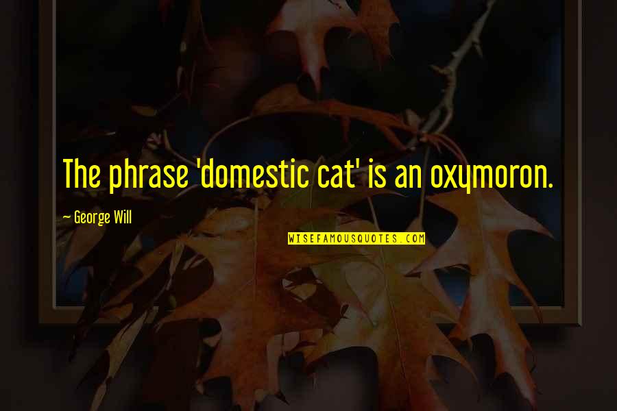 Australopithecines Traits Quotes By George Will: The phrase 'domestic cat' is an oxymoron.