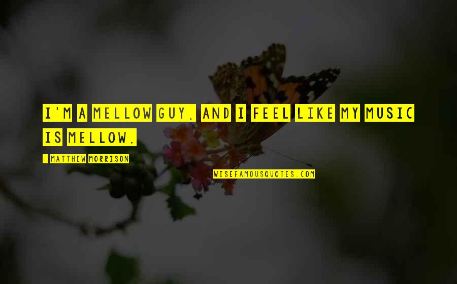 Authentic Freedom Quotes By Matthew Morrison: I'm a mellow guy, and I feel like