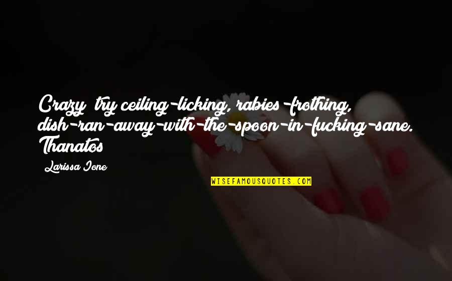 Authenticity In Business Quotes By Larissa Ione: Crazy? try ceiling-licking, rabies-frothing, dish-ran-away-with-the-spoon-in-fucking-sane. Thanatos