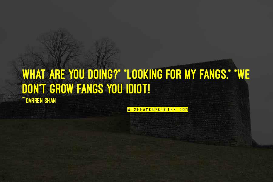 Authority In The Crucible Quotes By Darren Shan: What are you doing?" "Looking for my fangs."