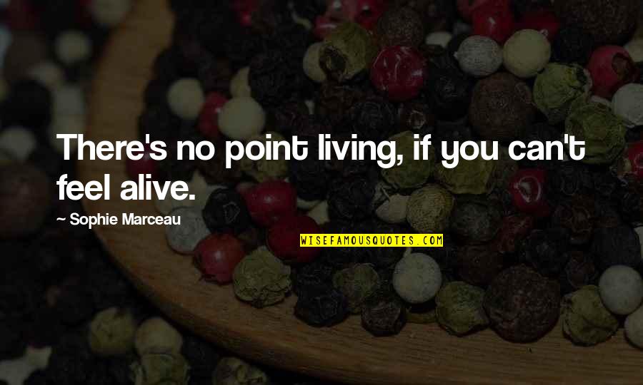Authorpreneurship Quotes By Sophie Marceau: There's no point living, if you can't feel Authorpreneurship Quotes By Sophie Marceau: There's no point living, if you can't feel