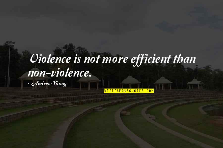 Auto Policy Quotes By Andrew Young: Violence is not more efficient than non-violence.