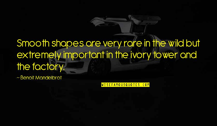 Autolesionismo Quotes By Benoit Mandelbrot: Smooth shapes are very rare in the wild