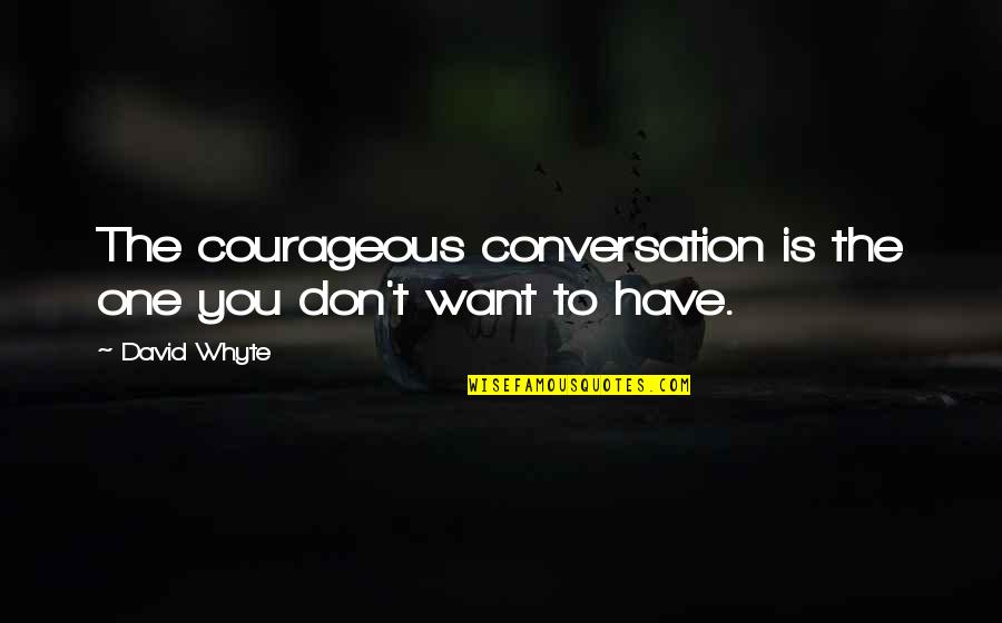 Automedon Iliad Quotes By David Whyte: The courageous conversation is the one you don't