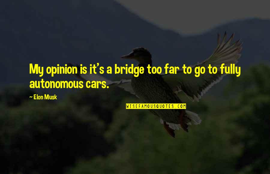 Autonomous Car Quotes By Elon Musk: My opinion is it's a bridge too far