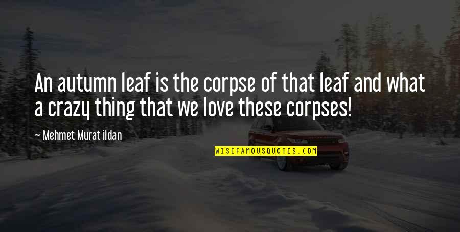 Autumn And Leaves Quotes By Mehmet Murat Ildan: An autumn leaf is the corpse of that