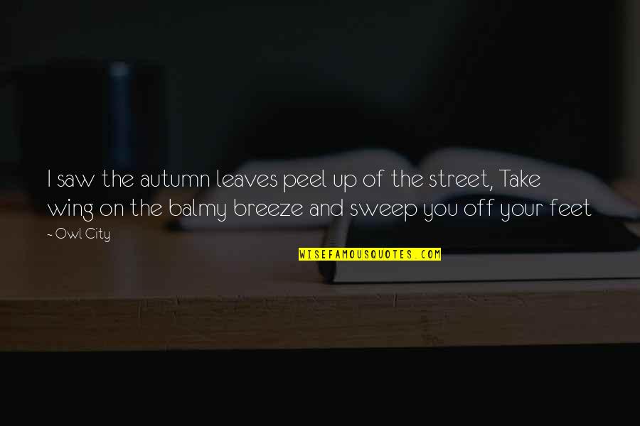 Autumn And Leaves Quotes By Owl City: I saw the autumn leaves peel up of